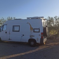Fiat Ducato campers DUCATO 14 2.8 D uit 1999 Foto #10