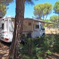 Rapido campers 786 F uit 2005 Foto #7
