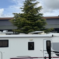 Adria Coral S670SL lengtebedden Navi ,solar Foto #25