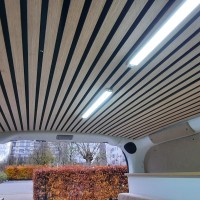 Opel campers Combo uit 2019 Foto #15