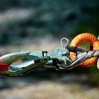 Volkswagen campers TRANSPORTER T6 uit 2016 Foto #16