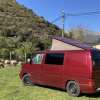 Volkswagen campers TRANSPORTER BESTEL 0,8 TDI 65 KW uit 2002 Foto #4