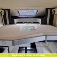 Roller Team Kronos 261 Tl  weinig km 2019 Foto #19