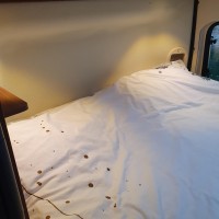 Adria campers TWIN 600 SPT uit 2016 Foto #6