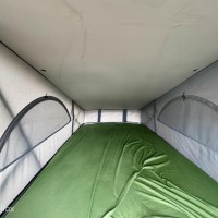 Volkswagen California 2.5 174PK 4-Motion Nieuw hefdak Foto #25