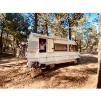 Hymer 290MSJ uit 1993 Foto #1
