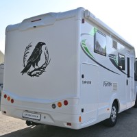 Eura Mobil Forster 699 EB Foto #3