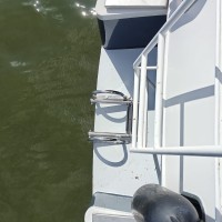 Rijo kruiser 1050 met werk Foto #4