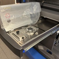 Volkswagen California - Beach T7 eHybrid 4Motion Standkachel Carplay Trekhaak Thule luifel Foto #12
