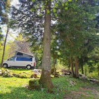 Verhuur: Volkswagen T6 lange 5 persoons Camper Foto #7