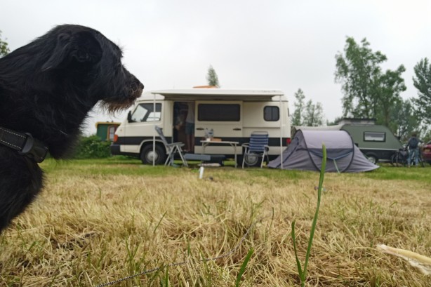 Mercedes campers MB 100 D uit 1994